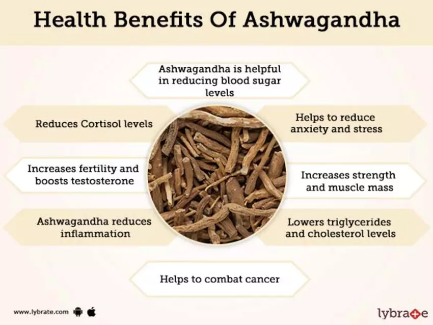 wellhealthorganic.com:benefits-of-ashwagandha-in-hindi